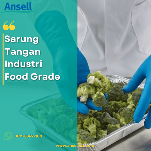 Sarung Tangan Industri Food Grade